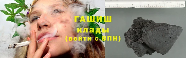прущие грибы Алзамай