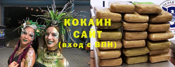 прущие грибы Алзамай