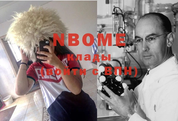 прущие грибы Алзамай
