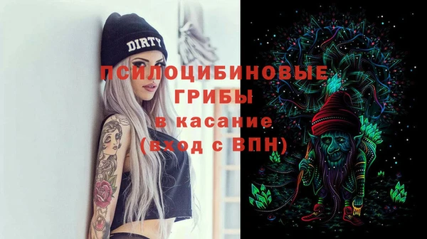 прущие грибы Алзамай